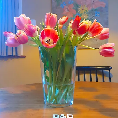 Bed & Breakfast Evergreen