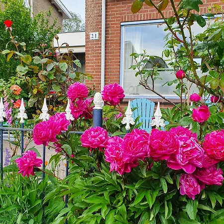 Bed & Breakfast Evergreen Wijdewormer