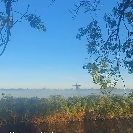 Evergreen Bed & Breakfast 3*