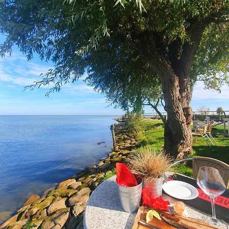 Evergreen 3* Wijdewormer