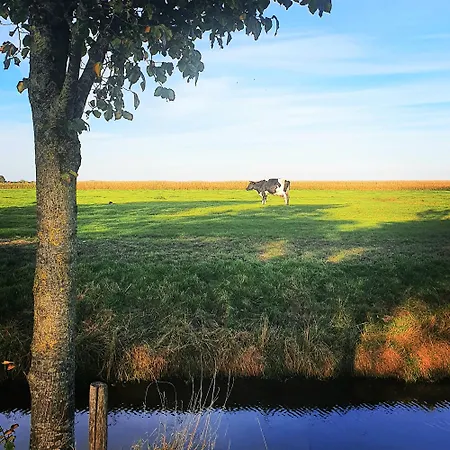 Evergreen Bed & Breakfast