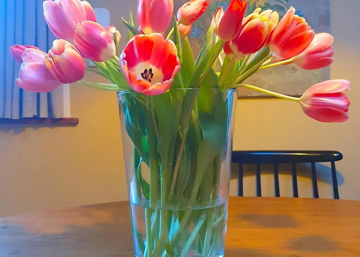 Bed & Breakfast Evergreen