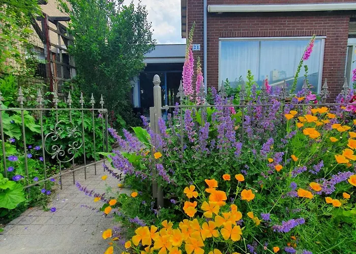 Bed & Breakfast Evergreen Wijdewormer