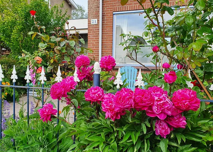 Bed & Breakfast Evergreen Wijdewormer