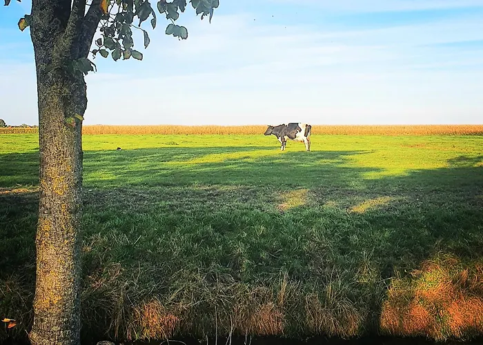 Evergreen Bed & Breakfast